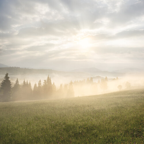 Mystery Dawn Michael Lesiv