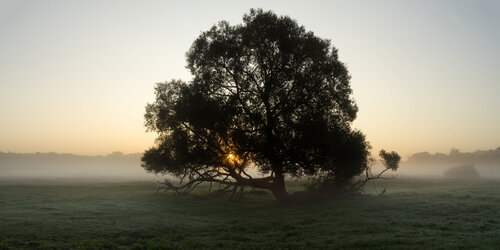 Misty Morning Sunrise by Michael Lesiv, Photography for Sale on Singulart