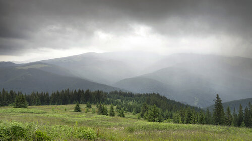 A Walk in the Summer Rain by Michael Lesiv, Photography for Sale on Singulart