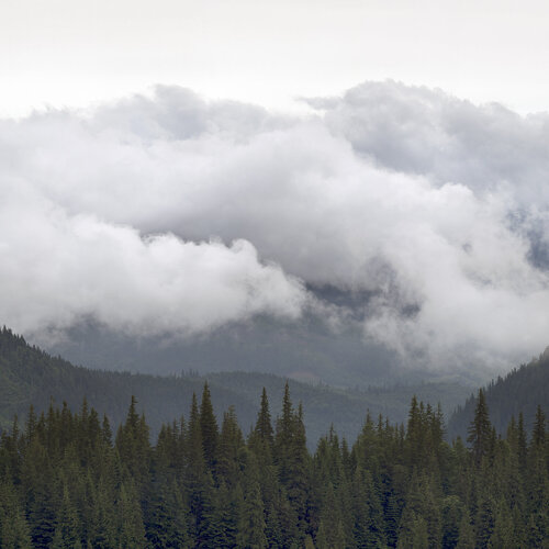 After The Summer Rain  #1 par Michael Lesiv, Photographie en vente sur Singulart