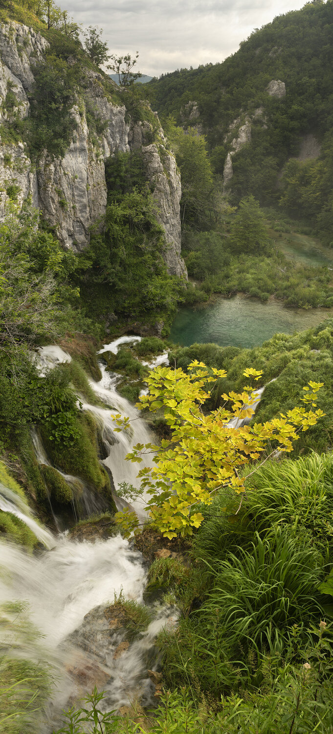 A Lone Tree Above Waterfall - The Plitvice Lake, Veliki Prstavac Michael Lesiv Fotografie zu verkaufen