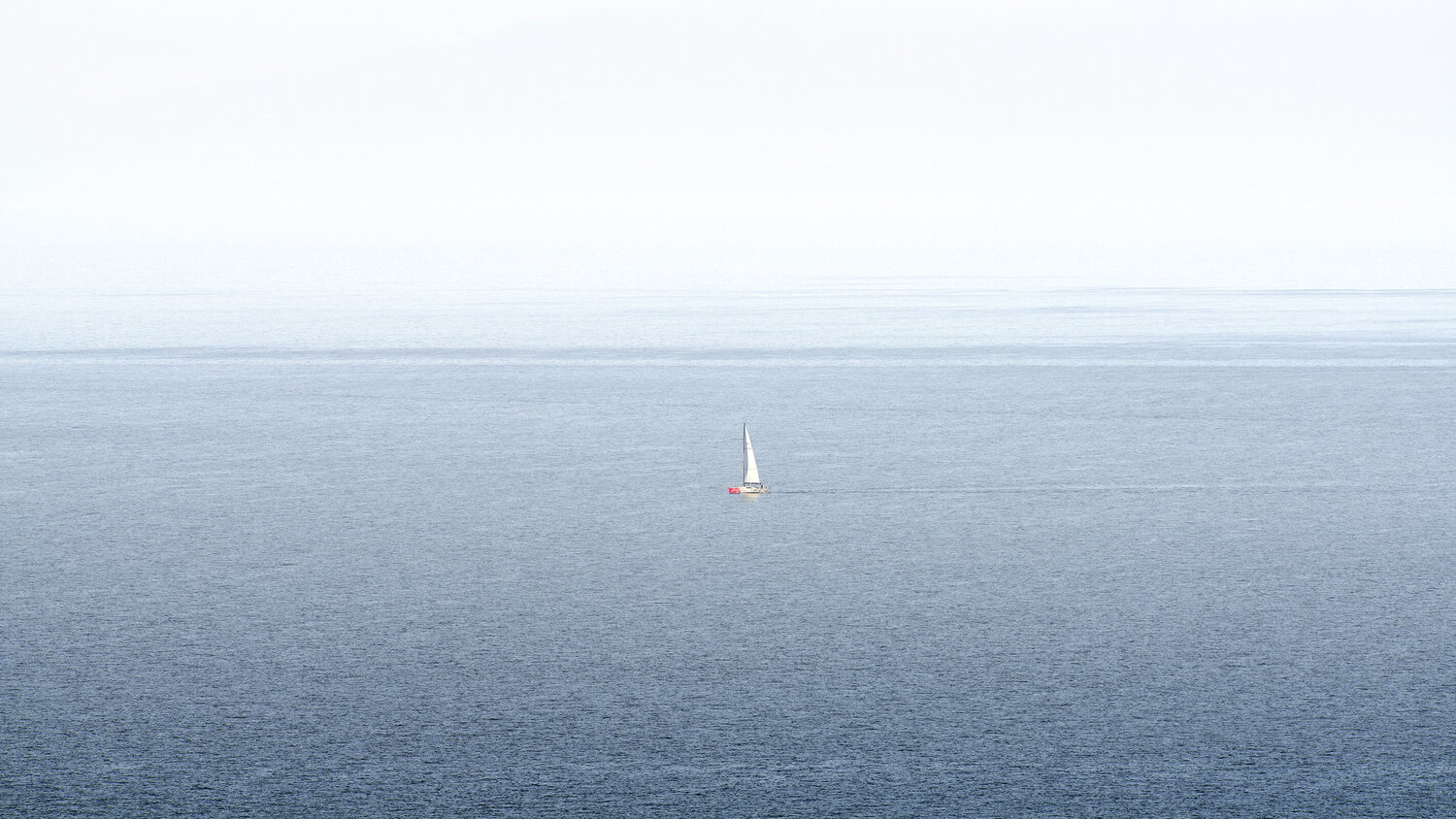 White Sail Michael Lesiv