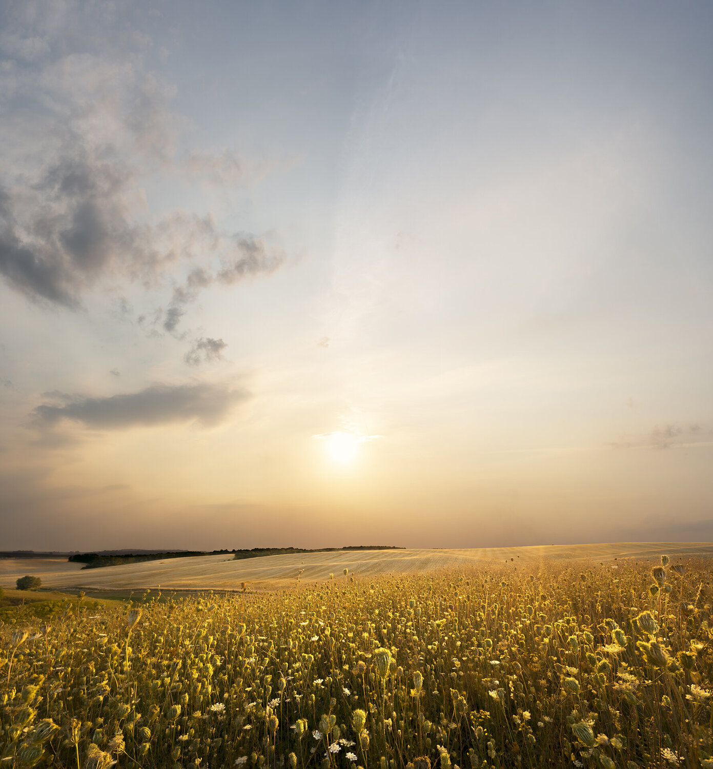A Golden Sky Michael Lesiv