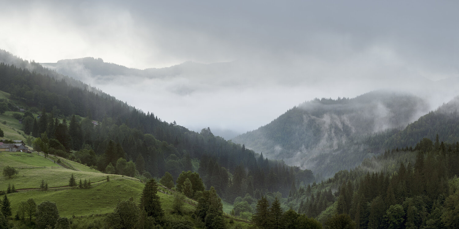 After The Rain Photograph Michael Lesiv
