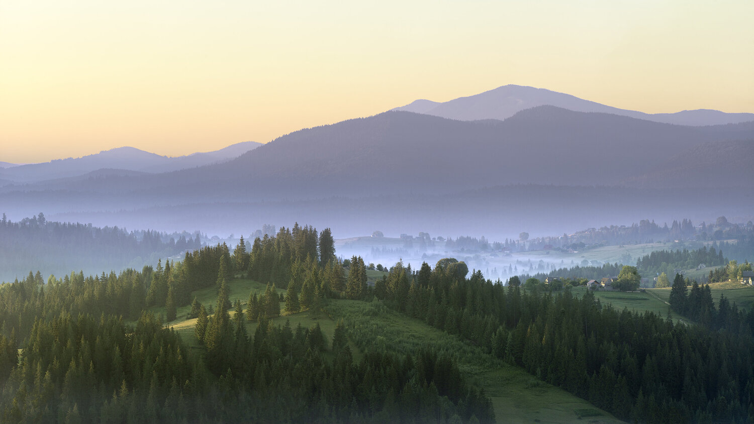 The Great World Michael Lesiv