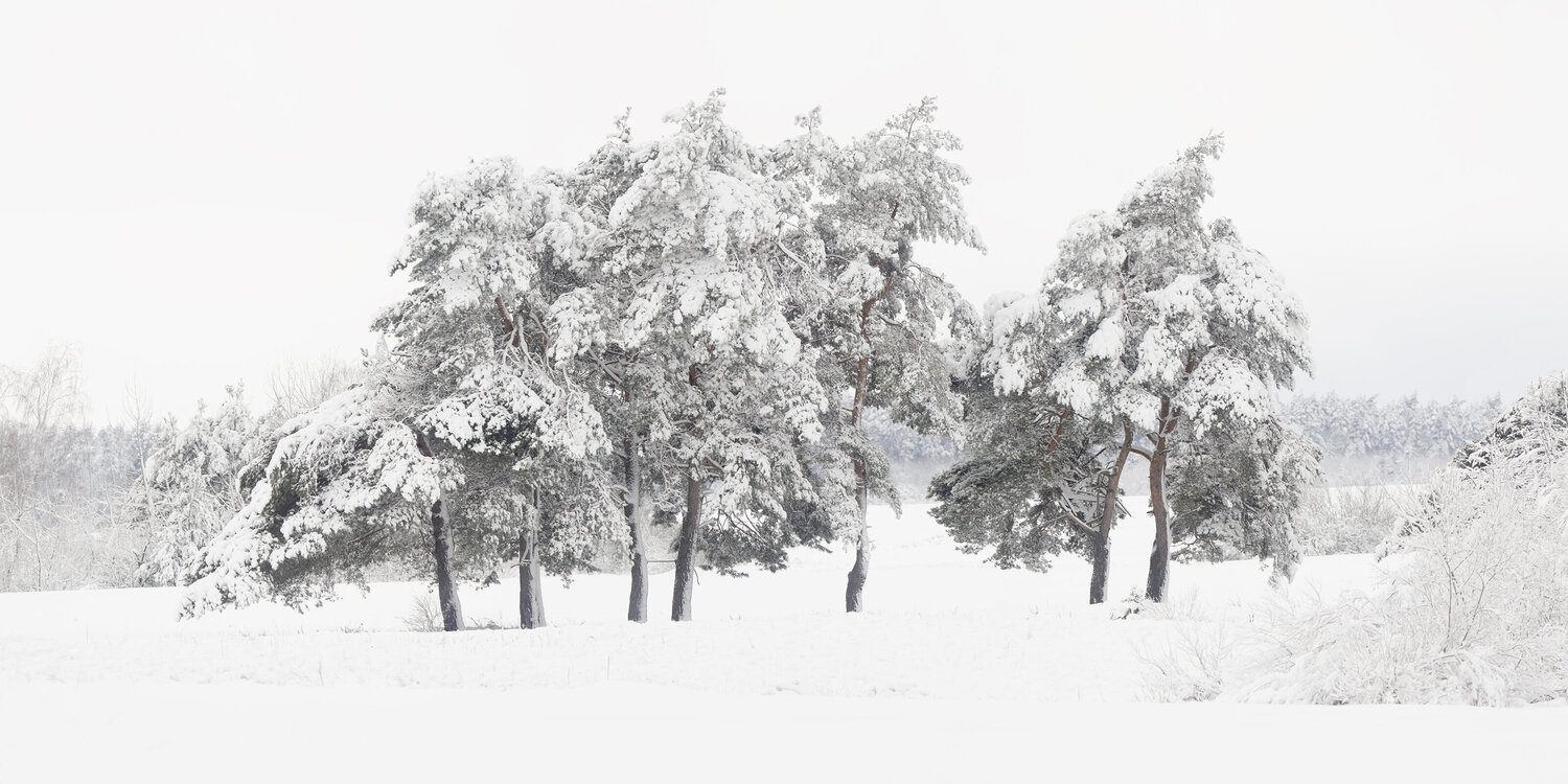 Winter Poetry l Michael Lesiv