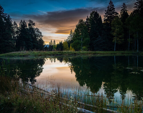 Morning pond, with rich reflections von Robert Niemeier, Fotografie kaufen auf Singulart