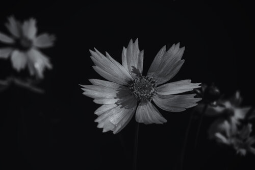 Solstice in Shadow von Robert Niemeier, Fotografie kaufen auf Singulart