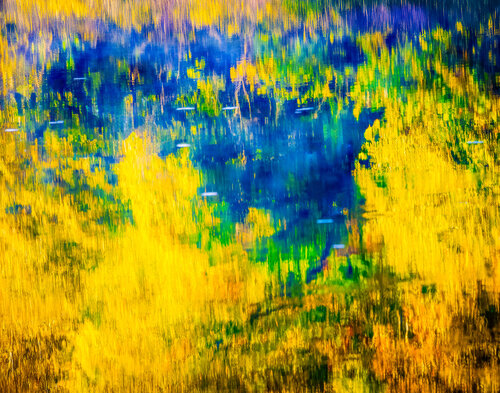 Golden Reflections in Blue Water di Robert Niemeier, Fotografia in vendita su Singulart