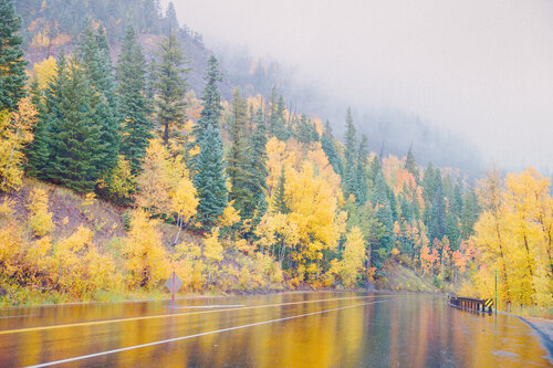 Wolf Creek Pass – Autumn Mist van Robert Niemeier, Fotografie te koop op Singulart