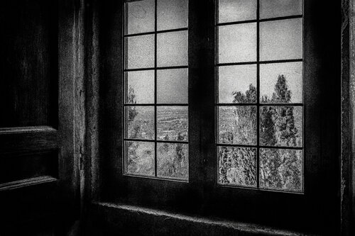 Old Friends – Black and White Window Light Photograph by Robert Niemeier van Robert Niemeier, Fotografie te koop op Singulart