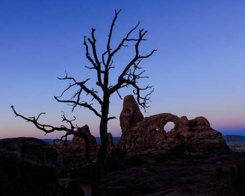 Between Silence and Stone di Robert Niemeier, Fotografia in vendita su Singulart