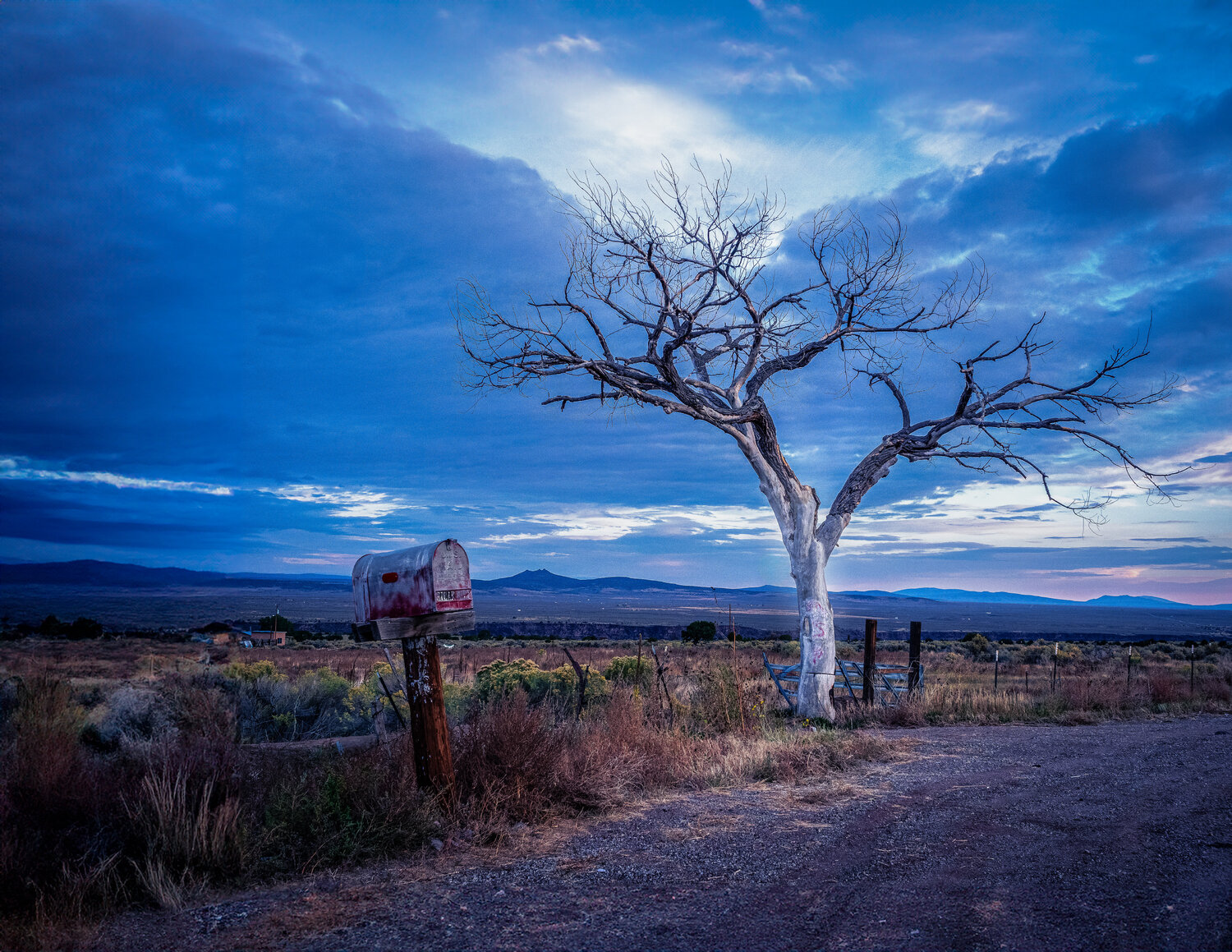 Standing in Silence Robert Niemeier