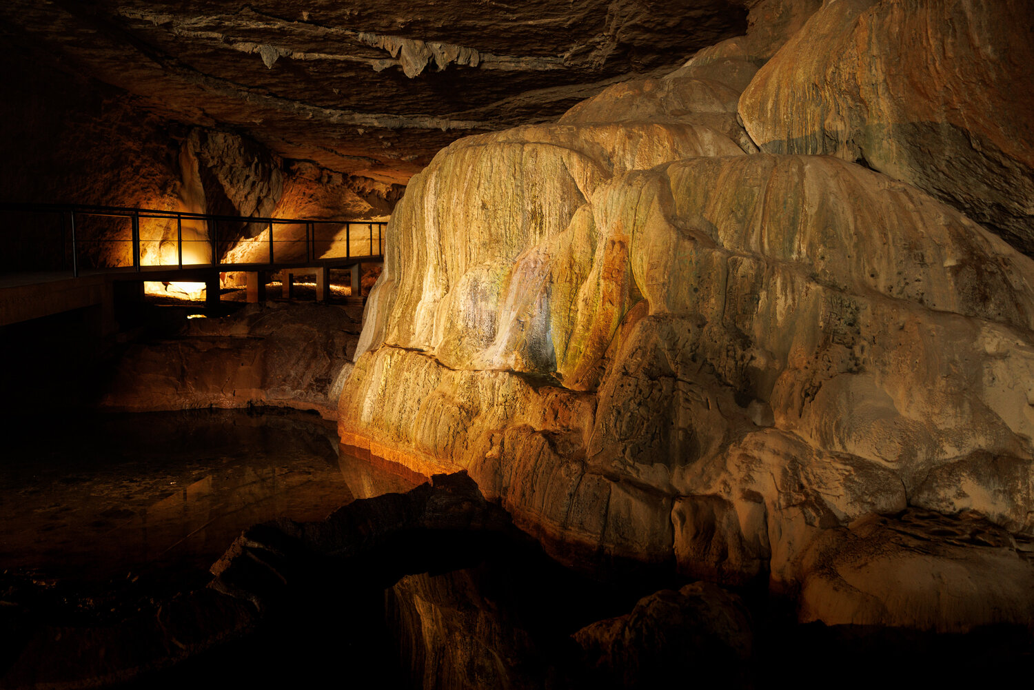 Within the Chamber Robert Niemeier