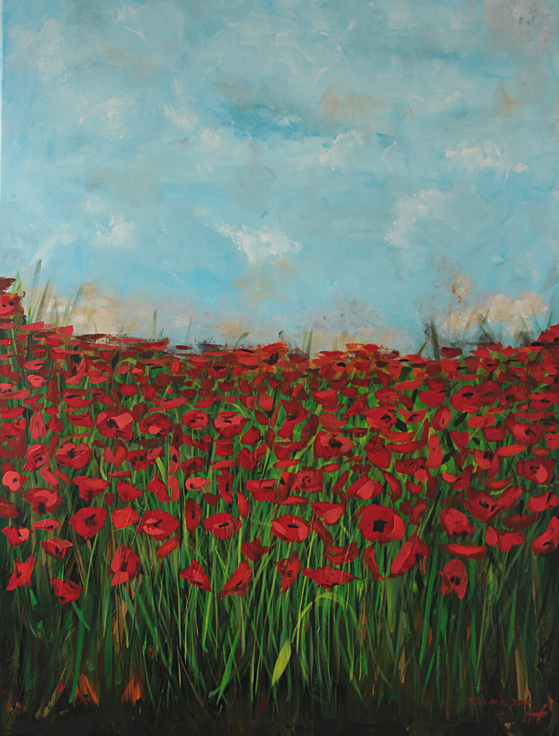 Red poppies Todor Attila Zsolt