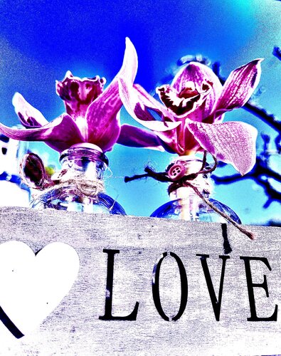 Fleurs de Coeur von Gaël Poirier, Druck kaufen auf Singulart