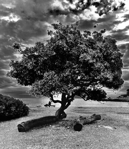 Solitude au Cap d'Antibes di Gaël Poirier, Stampa in vendita su Singulart