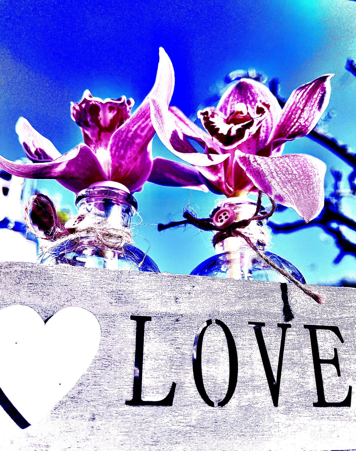 Fleurs de Coeur Gaël Poirier