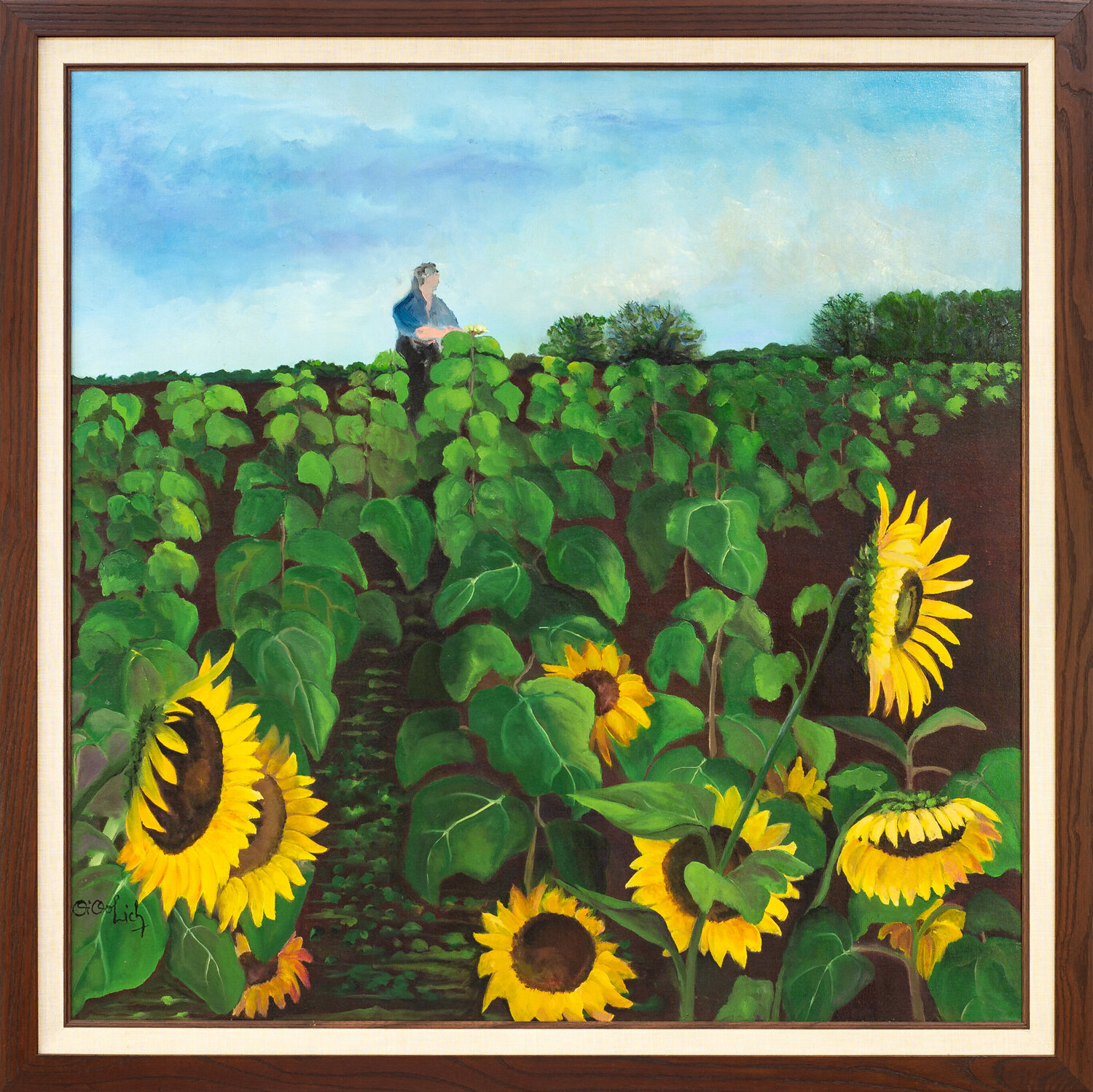 Girasoles en Chaco NELIDA DIDOLICH