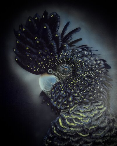Whispers of the Black Cockatoo von Svitlana Maslova, Malerei kaufen auf Singulart