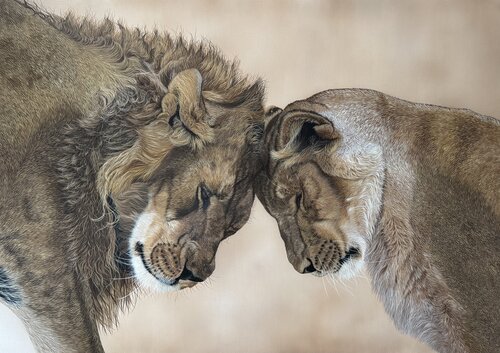 Eternal love of lions de Svitlana Maslova, Pintura a la venta en Singulart
