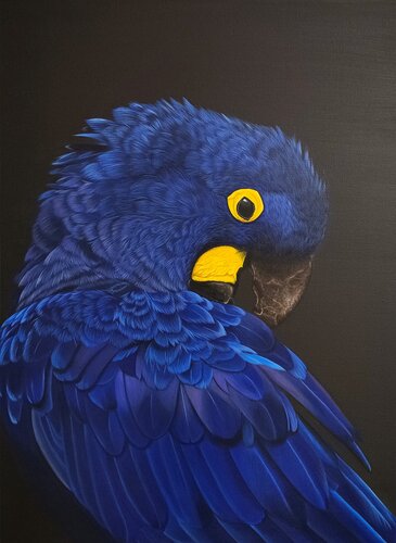 Hyacinth macaw van Svitlana Maslova, Schilderij te koop op Singulart