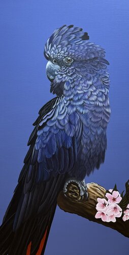 Red Black tailed cockatoo von Svitlana Maslova, Malerei kaufen auf Singulart