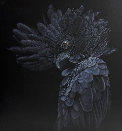 Gaze from the twilight Svitlana Maslova