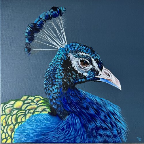 Peacock von Svitlana Maslova, Malerei kaufen auf Singulart