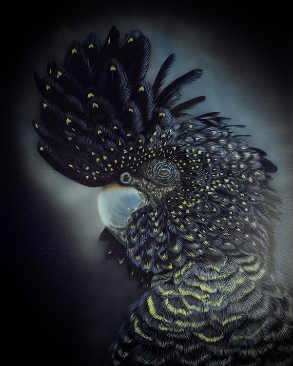 Whispers of the Black Cockatoo Svitlana Maslova
