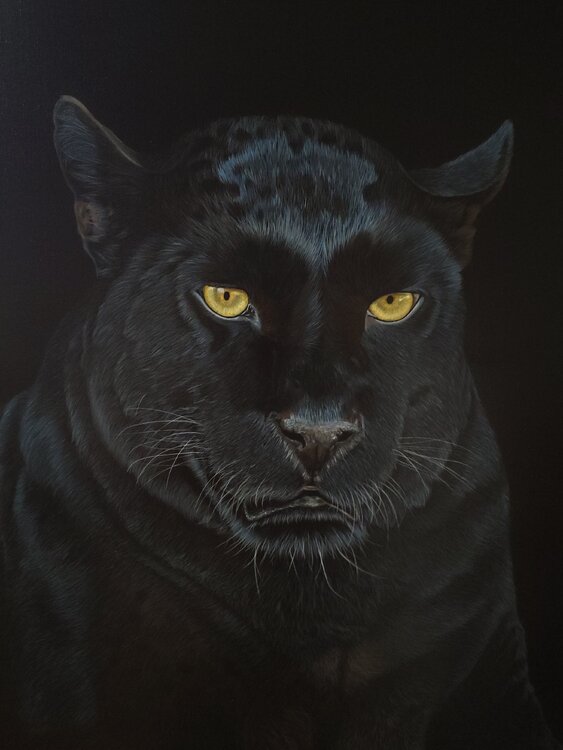 Black Panther Svitlana Maslova