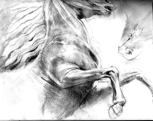 Etude Cheval Louvre di Grégory GENG, Disegno in vendita su Singulart