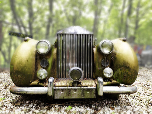 Rolls-Royce in der Natur van Walter Adler, Fotografie te koop op Singulart