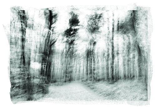 Spaziergang van Walter Adler, Fotografie te koop op Singulart
