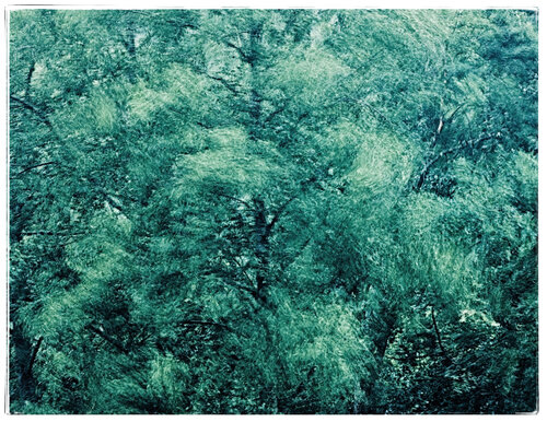 Gewitter 02 van Walter Adler, Fotografie te koop op Singulart