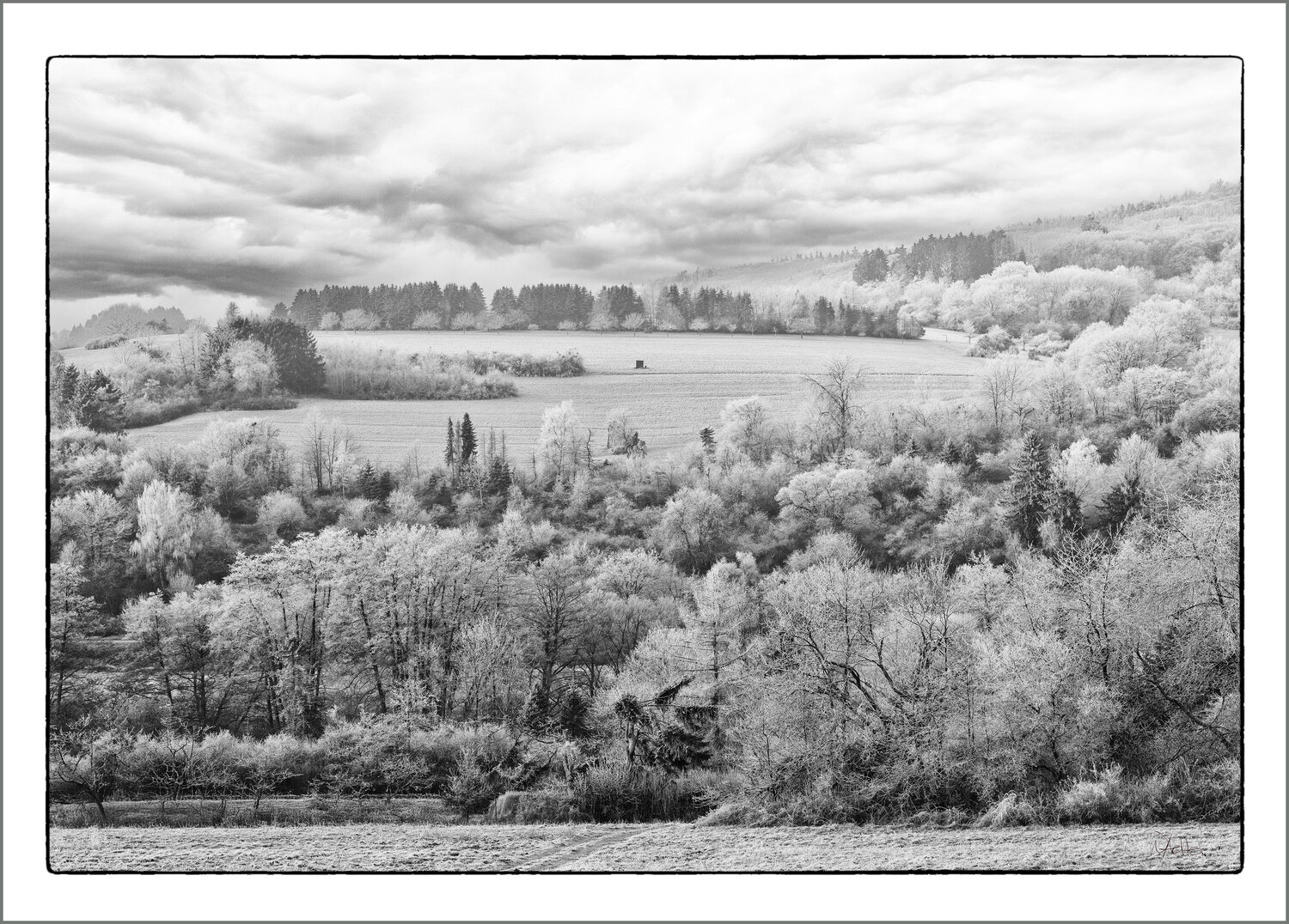 Wald und Wiese Walter Adler
