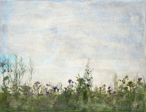 Sommerblumen Fuglsangvej di Ilja Mlosch, Altri media in vendita su Singulart