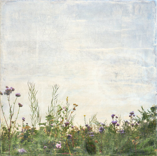 Sommerblumen Kohavevej by Ilja Mlosch, 기타 매체 for Sale on Singulart