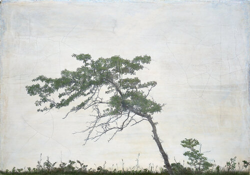Tree Kokura by Ilja Mlosch, 기타 매체 for Sale on Singulart