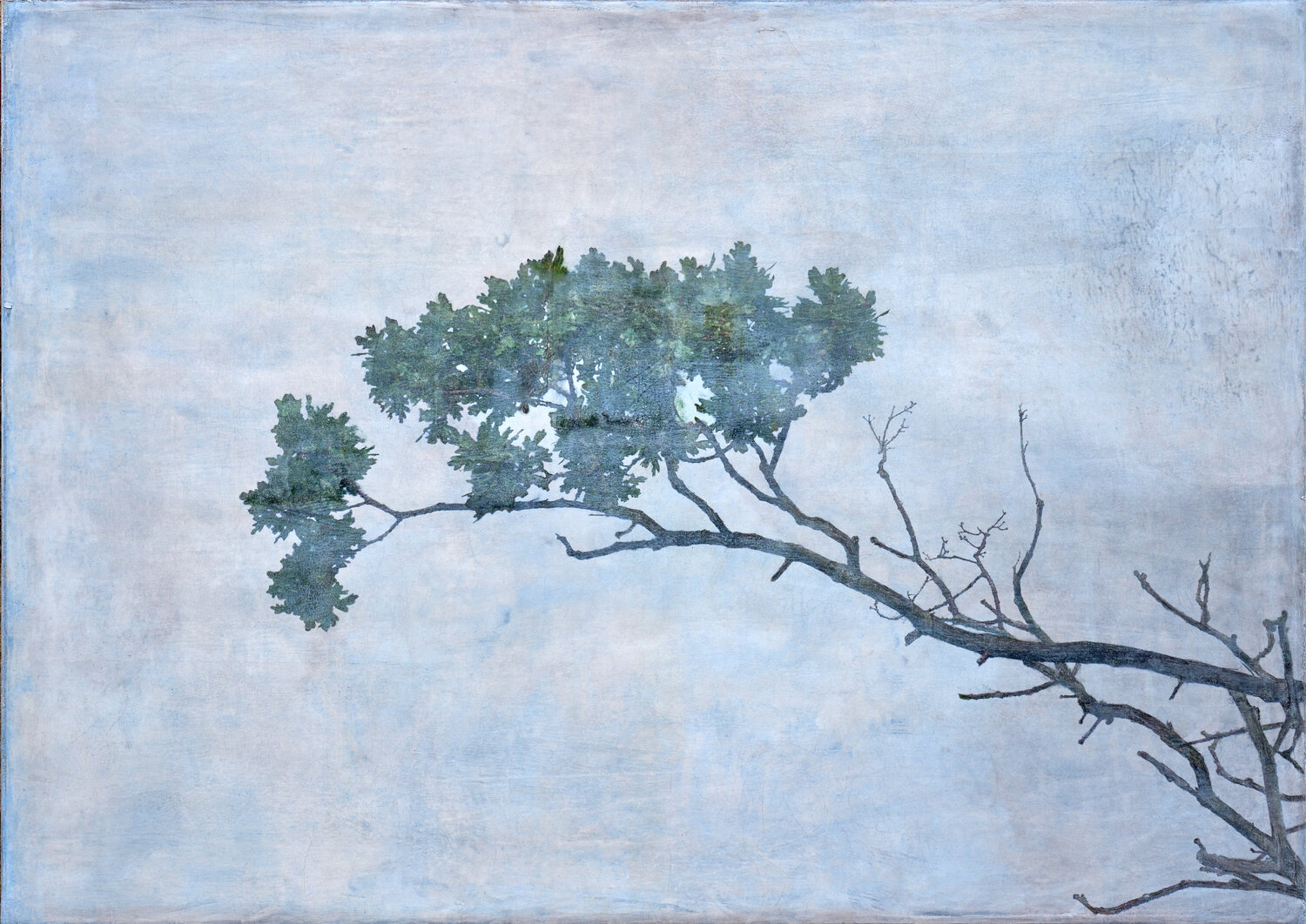 Branch Okinawa Ilja Mlosch