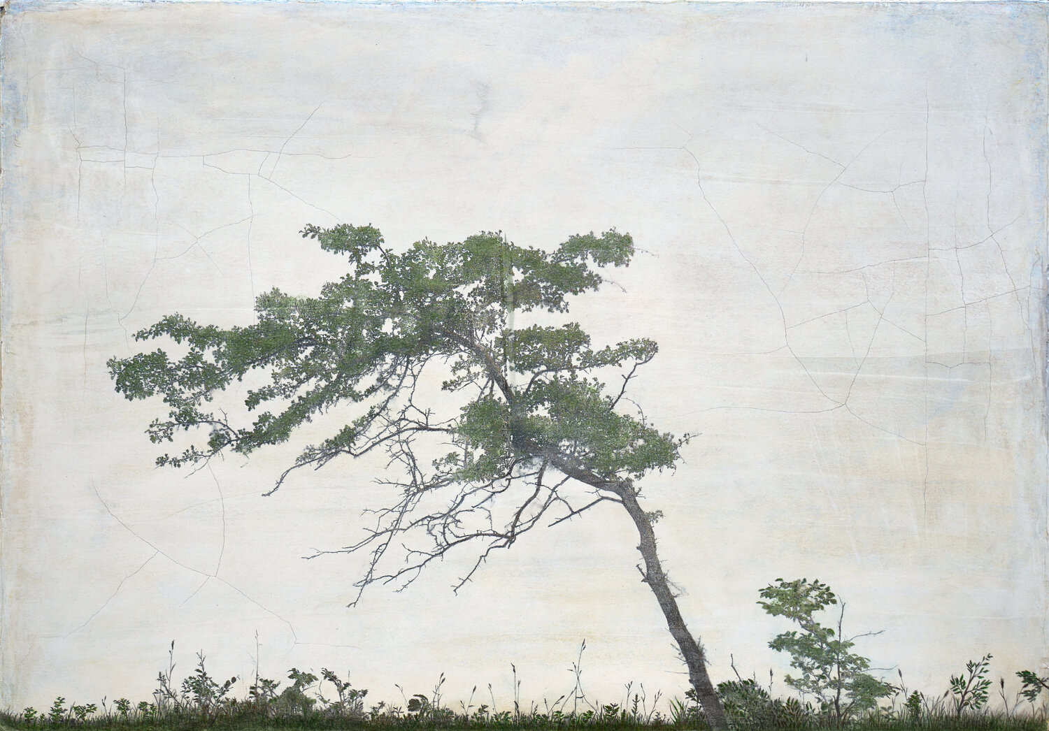 Tree Kokura Ilja Mlosch
