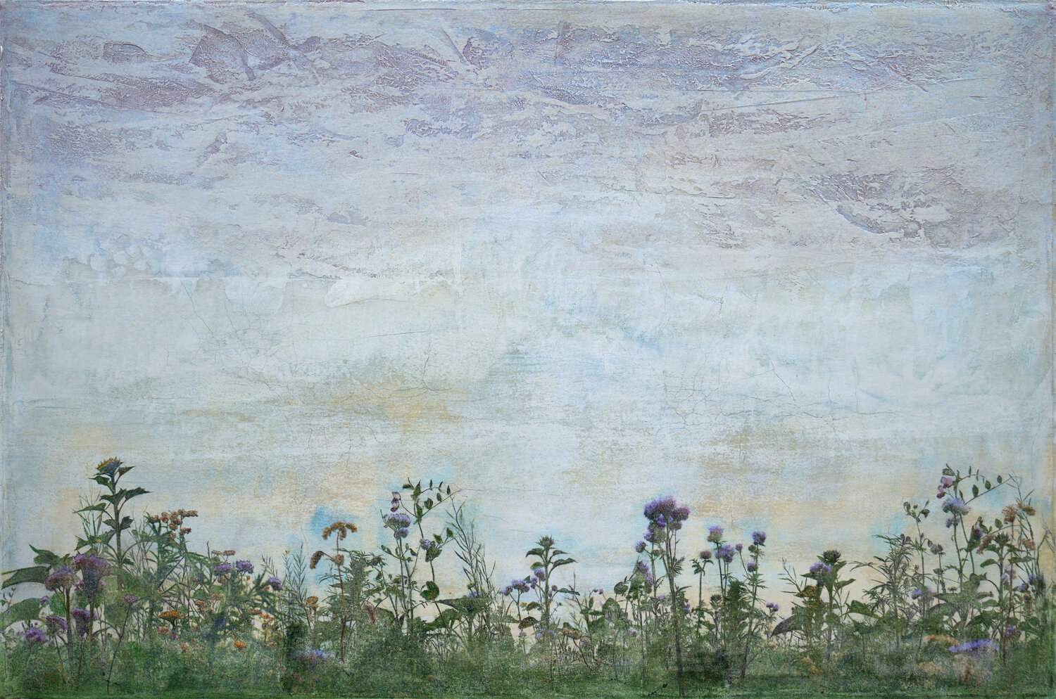 Sommerblumen Møllevej Ilja Mlosch