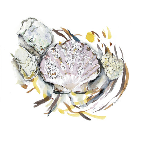 Coquillages par Frédérique Mussat, Œuvre sur papier en vente sur Singulart