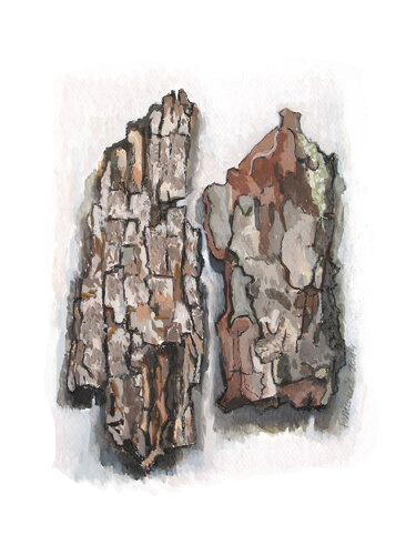 Deux écorces by Frédérique Mussat, Work on Paper for Sale on Singulart