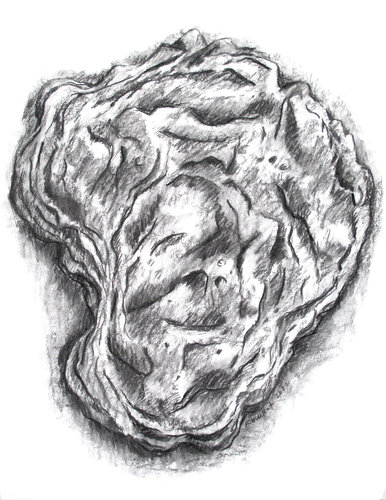 Grande huître-3 di Frédérique Mussat, Opera su carta in vendita su Singulart