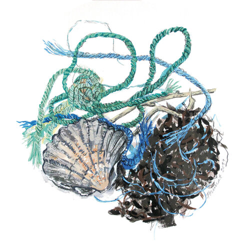 "Petite récolte" - coquille, cordage, goémon by Frédérique Mussat, Work on Paper for Sale on Singulart