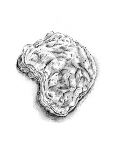 Petite huître by Frédérique Mussat, Work on Paper for Sale on Singulart