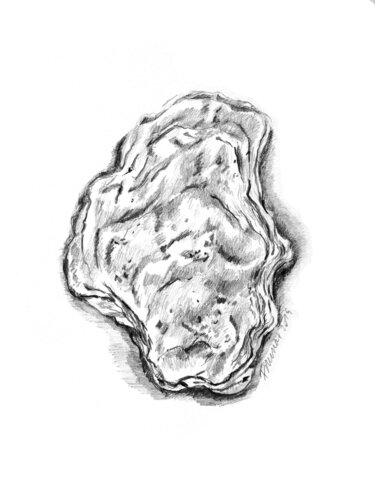 Petite huître by Frédérique Mussat, Work on Paper for Sale on Singulart