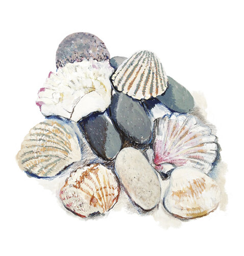 Coquilles et galets von Frédérique Mussat, Werk auf Papier kaufen auf Singulart