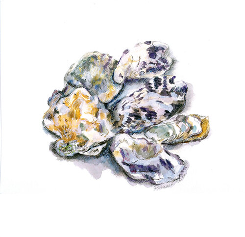 Huîtres von Frédérique Mussat, Werk auf Papier kaufen auf Singulart